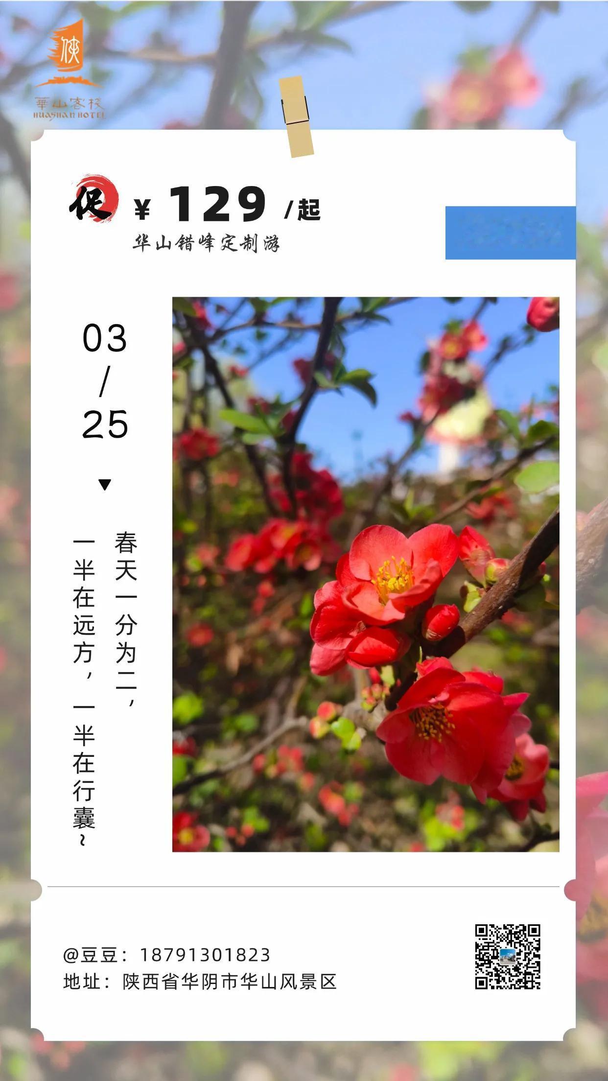 春天一分为二，一半在远方山川铺展诗意，一半悄然藏进行囊，随旅人奔赴。
而客栈的海