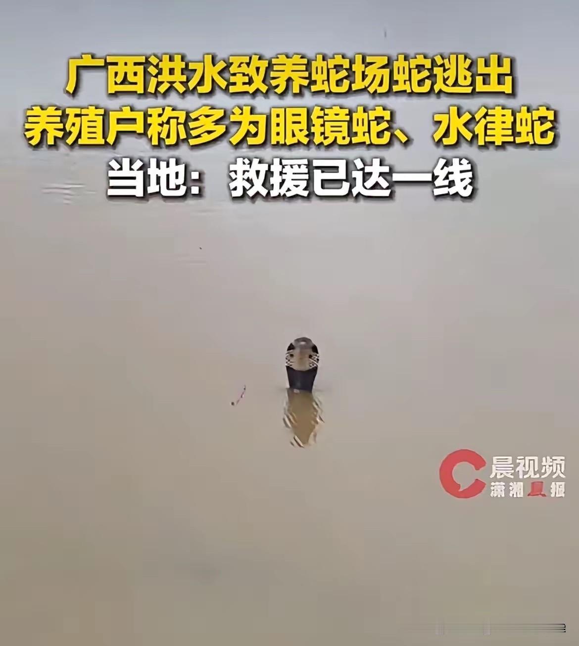 天呢这被咬了救都没法救，人好可怜
这些蛇也可怜，从小就被关起来，第一次放出来是因