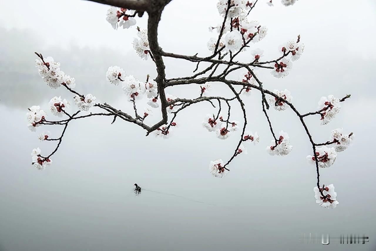 同学们一定要重视计算能力的培养
当下考试对计算的标准是双重要求：既要算得准，更要