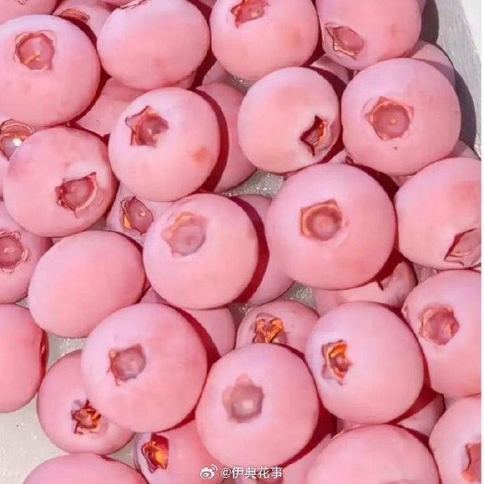 【#粉色蓝莓为啥那么贵#？】#粉色蓝莓VS普通蓝莓# “没想到蓝莓还有粉色的！”