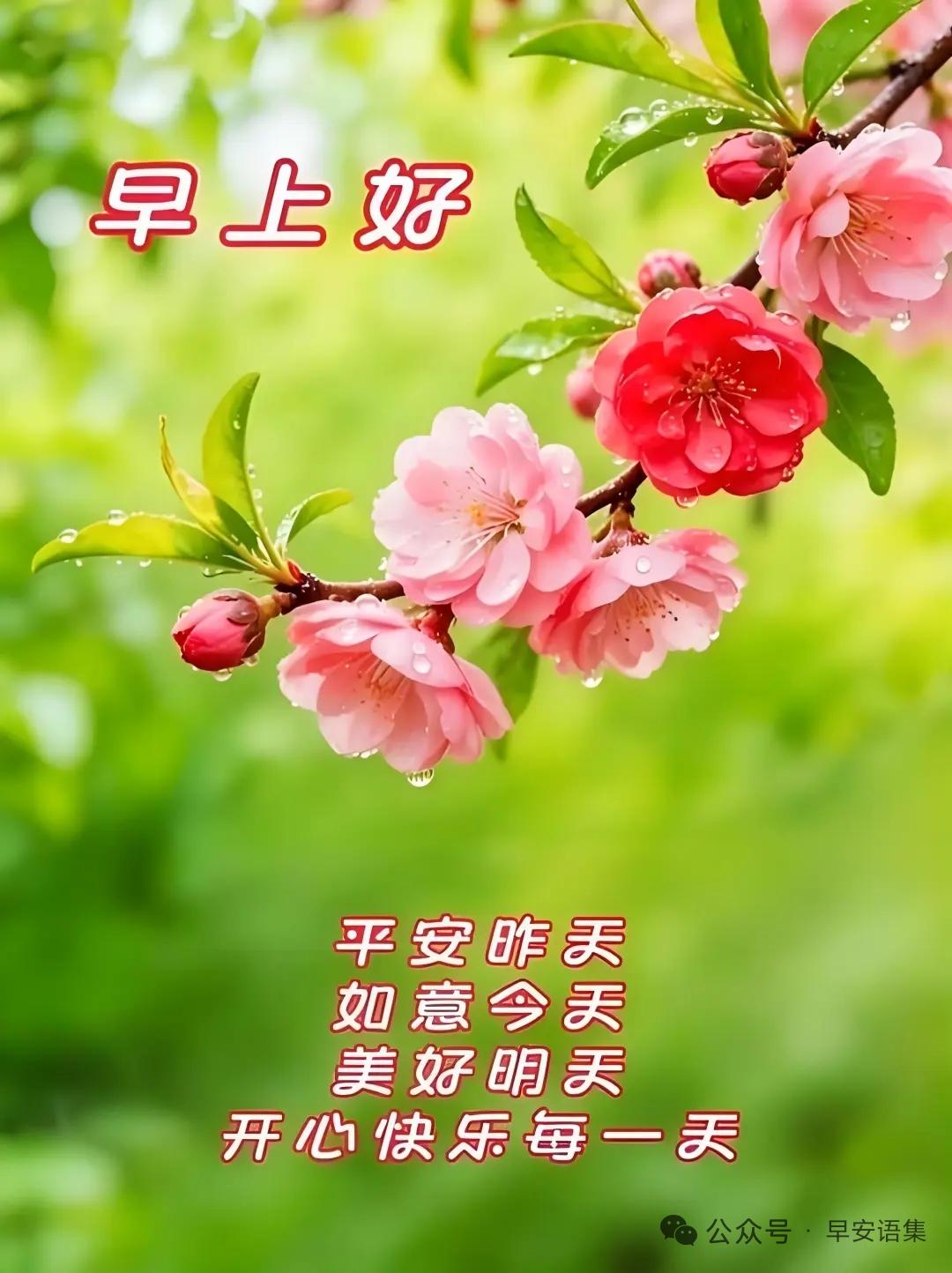 我认为不支持还是领了证再同居吧[作揖]