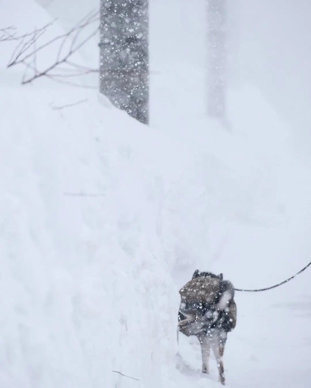 雪地路边不让停车