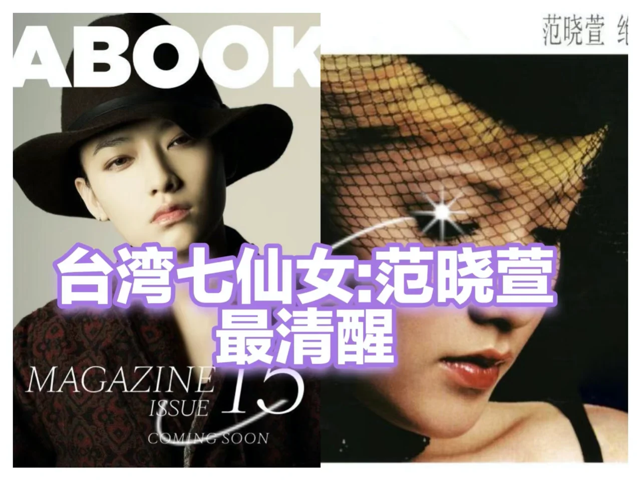 台湾七仙女范晓萱：不结婚的女人最好命