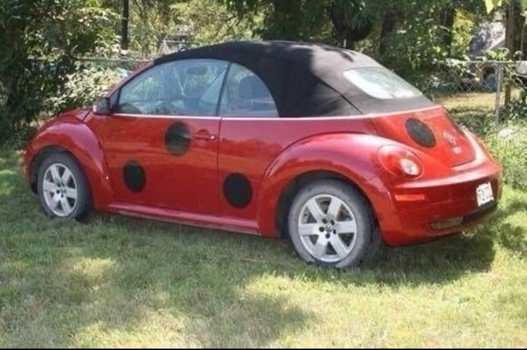 可爱捏🐞汽车审美