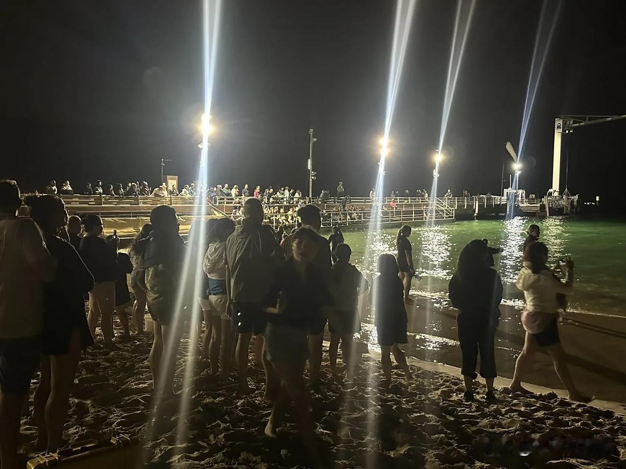 澳洲短期居家生活纪实（14）丨海豚岛自驾游之二

人们来到海豚岛的一个重要因素就