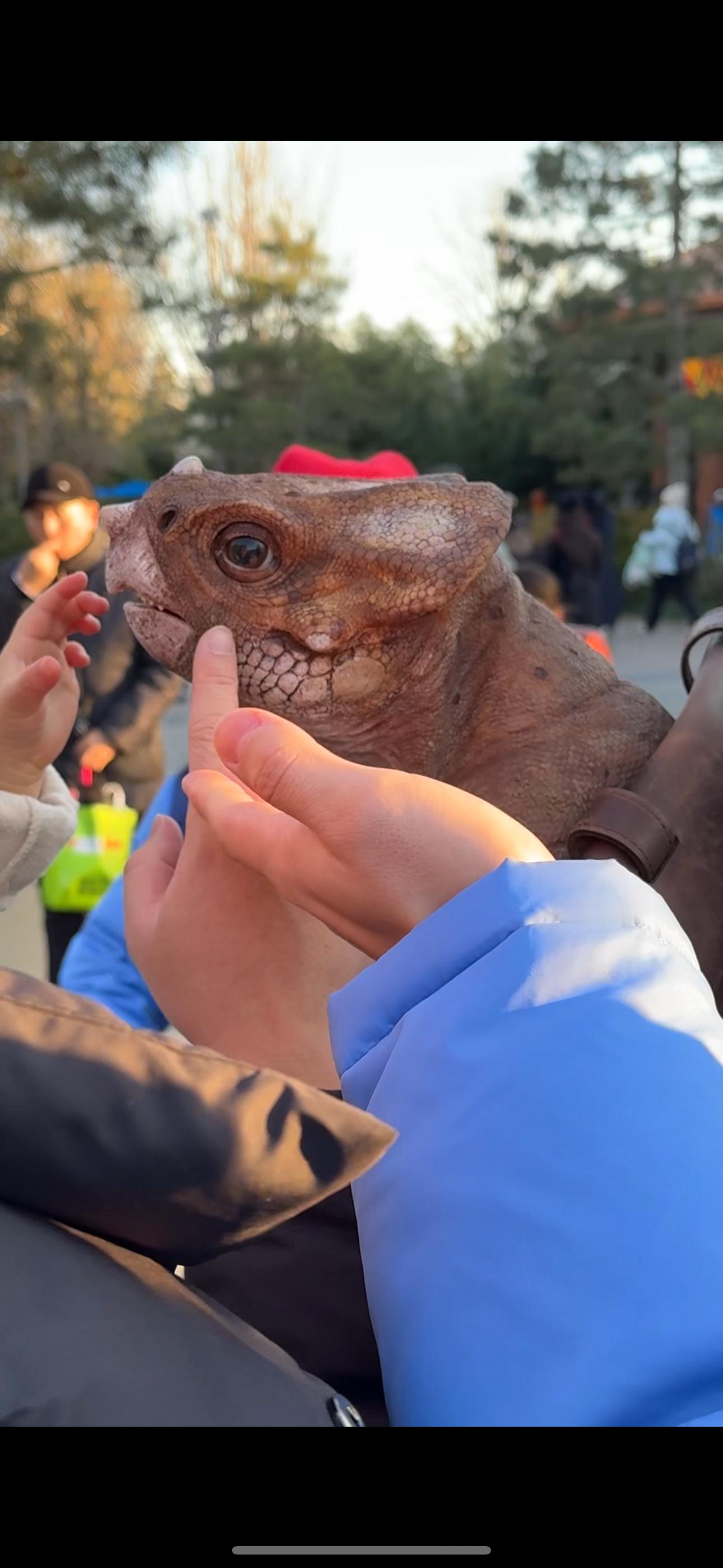 我今天超幸运！在环球看到了真恐龙小洛哦啊哈哈哈它还吓我，一下子凑我特别近！我被吓