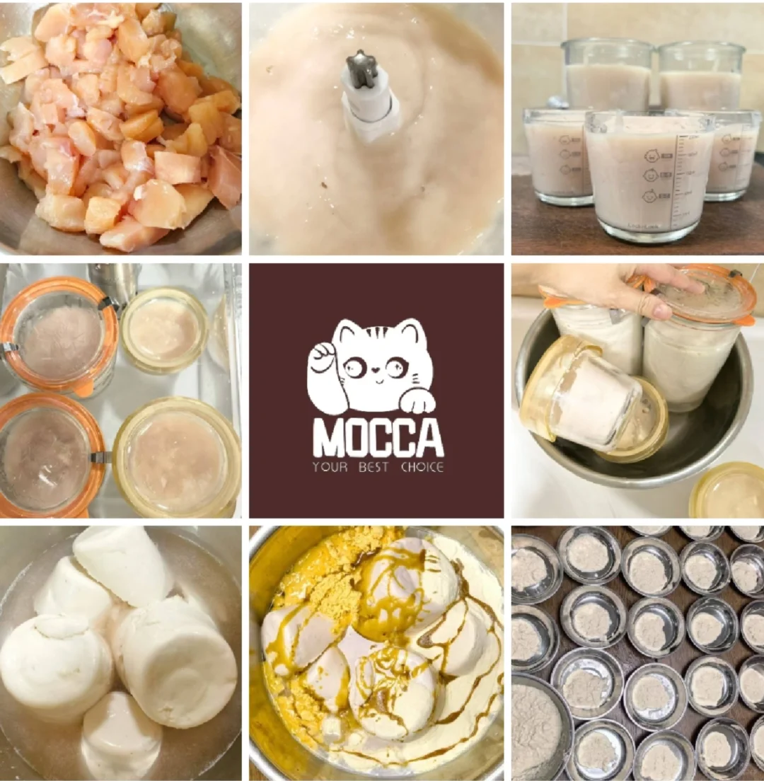 分享一下猫舍的猫咪日常饮食（低温慢煮）