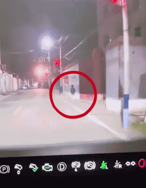 小男孩晚上站在路的旁边，故意吓唬来往车辆。
若是有司机惊慌，他可能会高兴的哈哈大