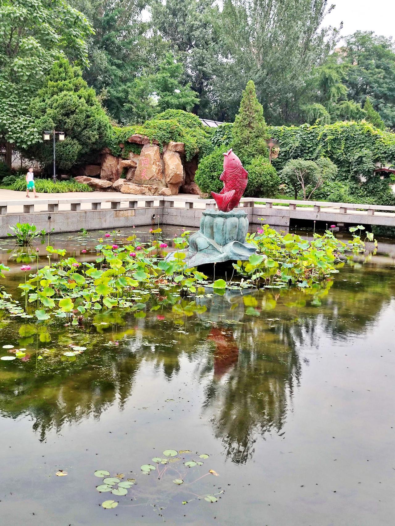 《鱼跃荷香园》景色一观
   沈阳南湖公园的园中园，独具特色的园林建筑，夏日的菏