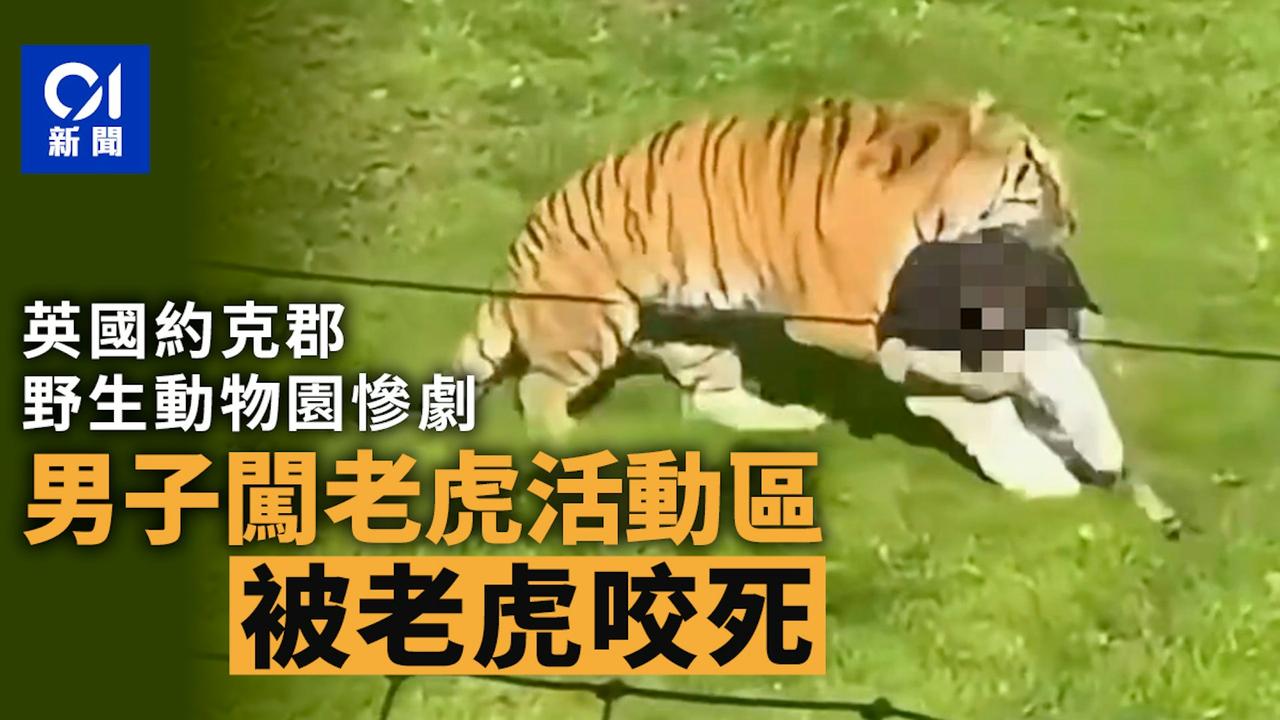 10月10日，英媒引述警方消息，一名男子进入约克郡（Yorkshire）一家动物
