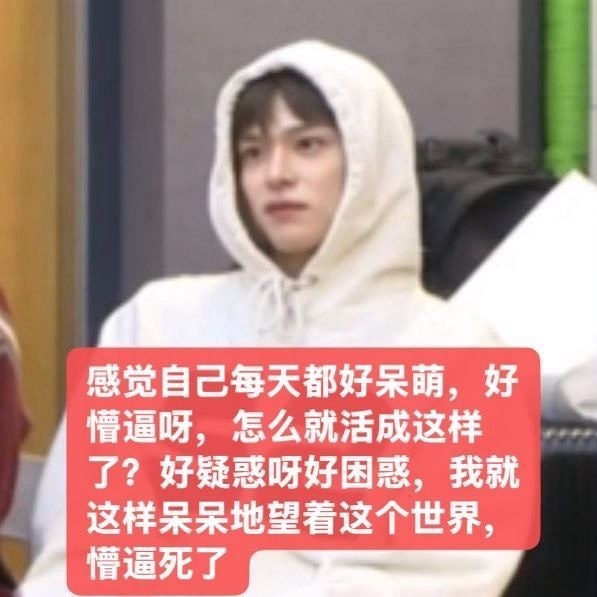 分享图片 