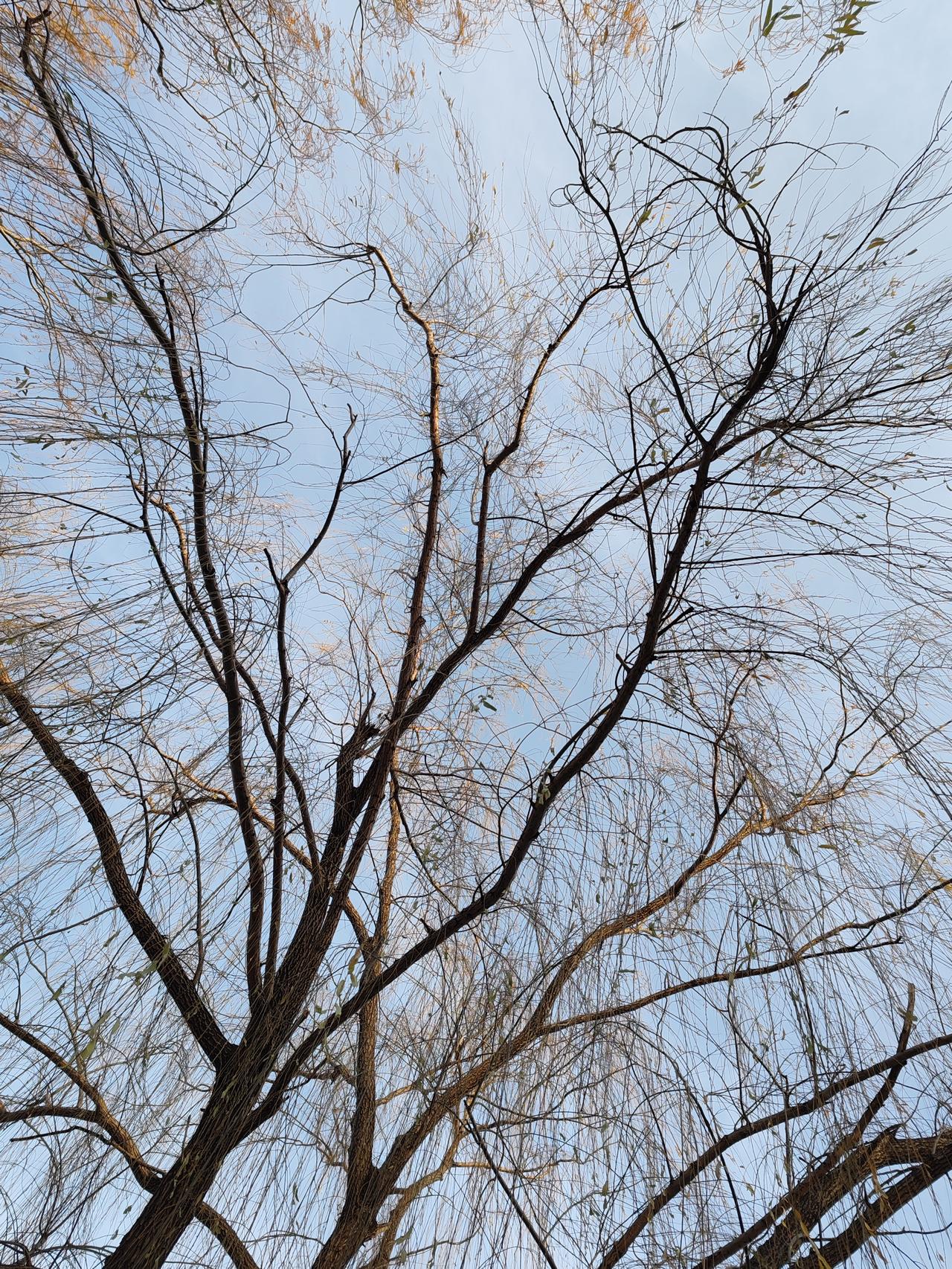 晒图笔记大赛寻冬天之景。