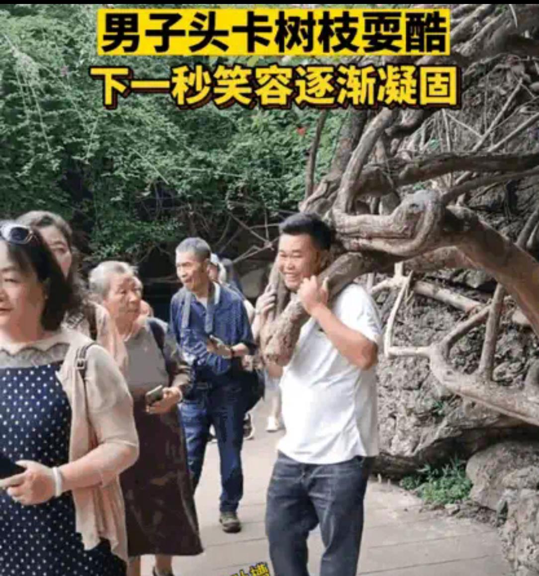 这可能是千年古树，都成精了，这时候该如何把头拉出来？这名男子应该是为了得瑟一下，