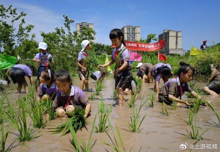 【全国第一！#重庆5所学校劳动教育经验登上国家平台#】近日，教育部在国家中小学智