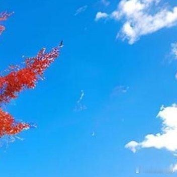 做自己的太阳，与山川湖海为伴，热爱生活，自信勇敢，保持善良，勇往直前！ 