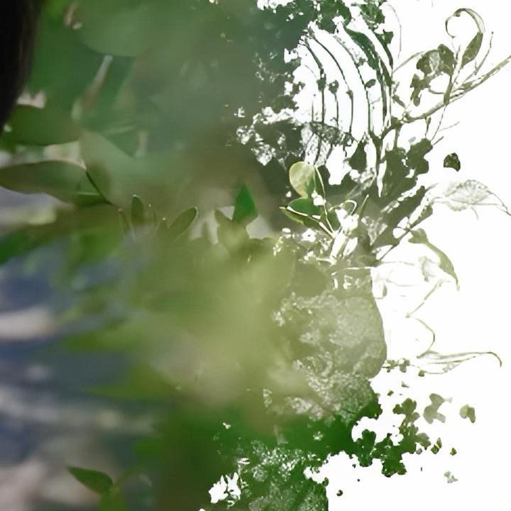 生日快乐杨涛顺顺利利家人平平安安一路皆是顺遂万事皆能如愿年年岁岁相知岁岁年年相伴
