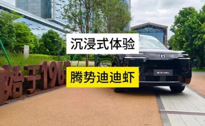 沉浸式体验腾势N8L首发的迪迪虾到底有多智能