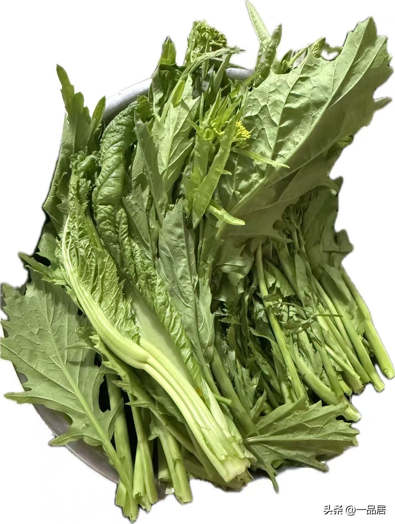 今年才知道以前每年云贵川过年吃的这种“苦青菜”，学名叫“苦芥菜”。有清热解腻的神