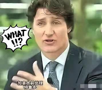 加拿大前总理特鲁多，4月23日在新加坡CNBC访谈中毫不讳言地称：当年特朗普政府