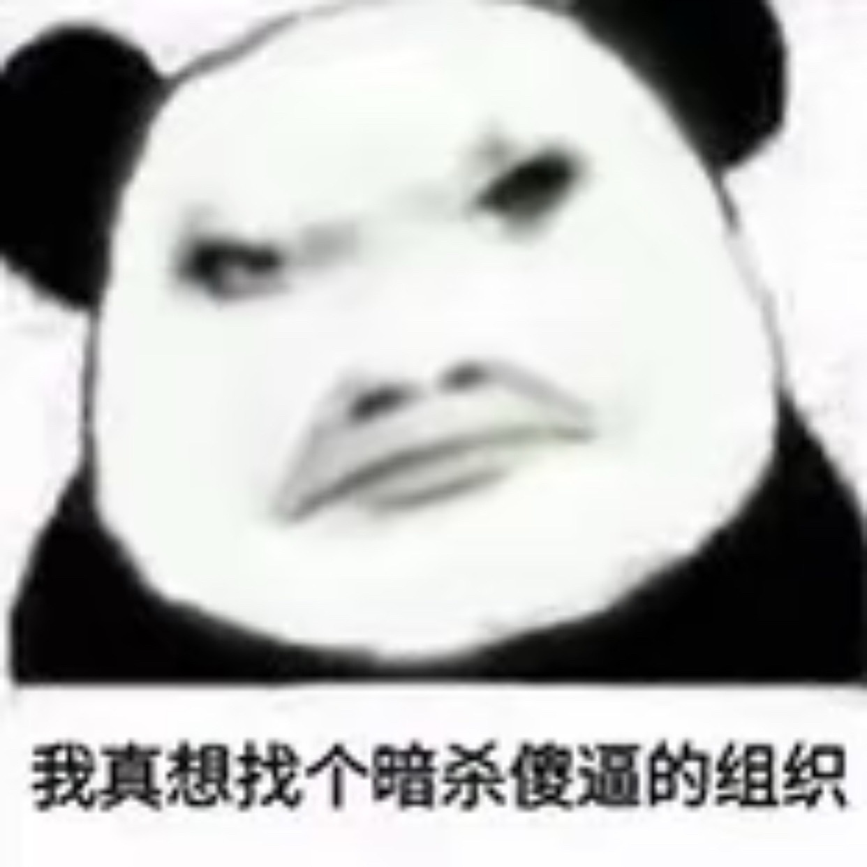 分享图片 