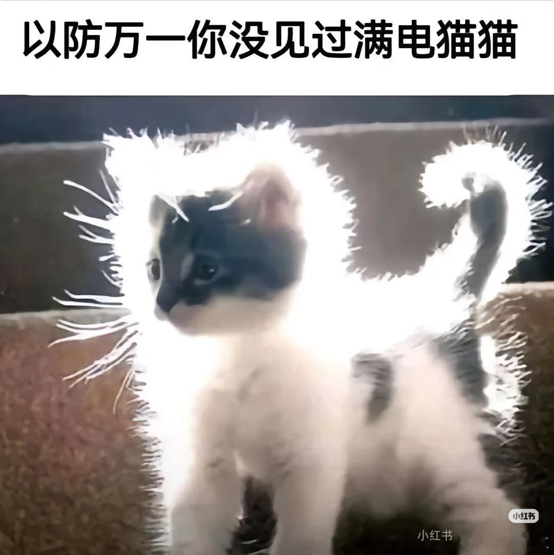 使用三角巧粉的贾得春belike特鲁姆普[超话] ​​​