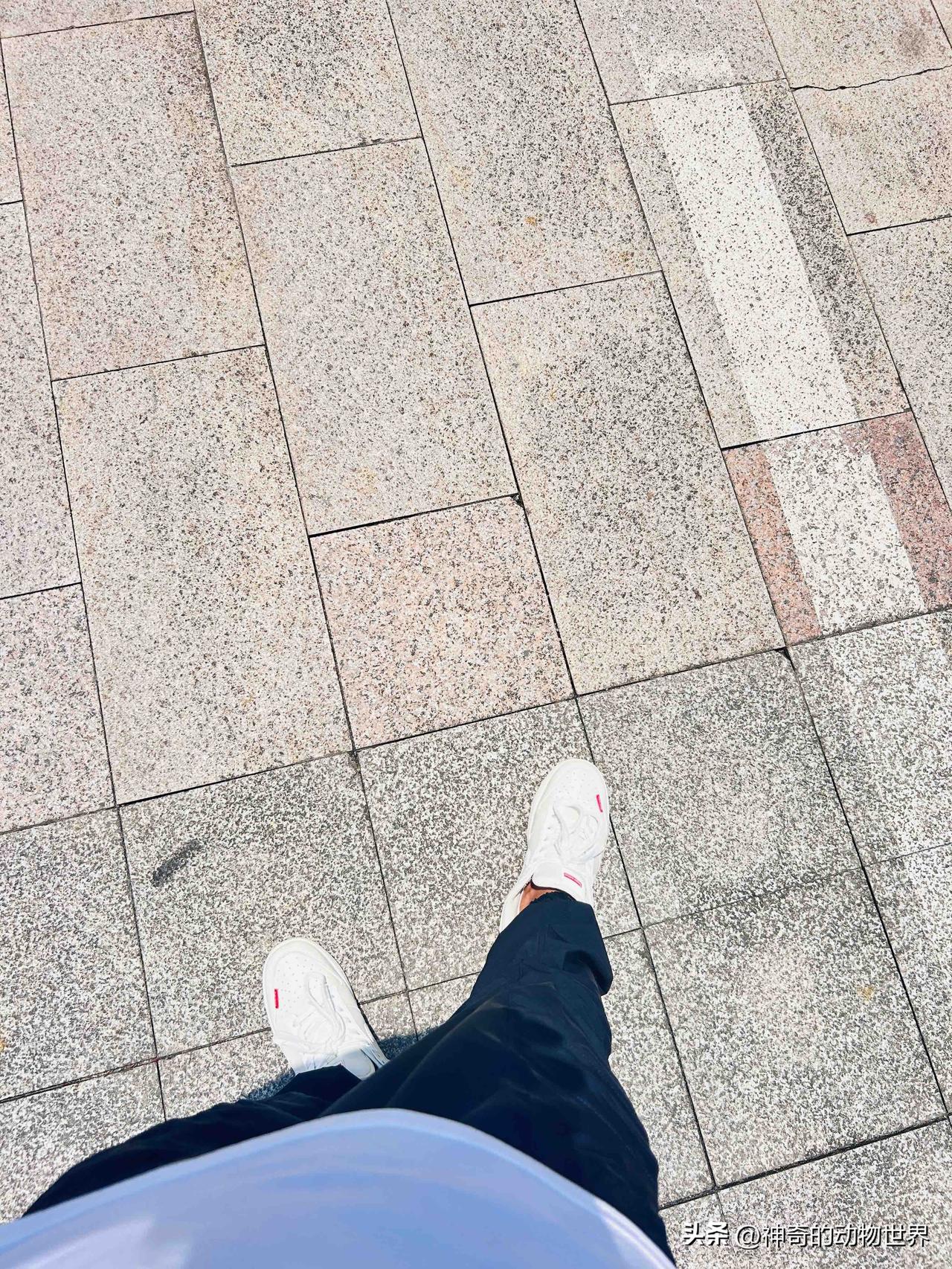 夏日生活打卡季