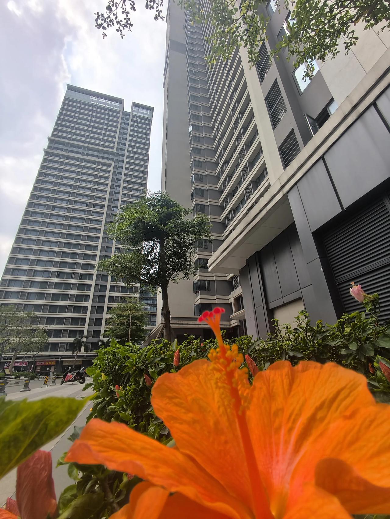 广州公寓好像真的有点香
手里积蓄不是很多，却不想再被房租牵着走，最终还是选定了这