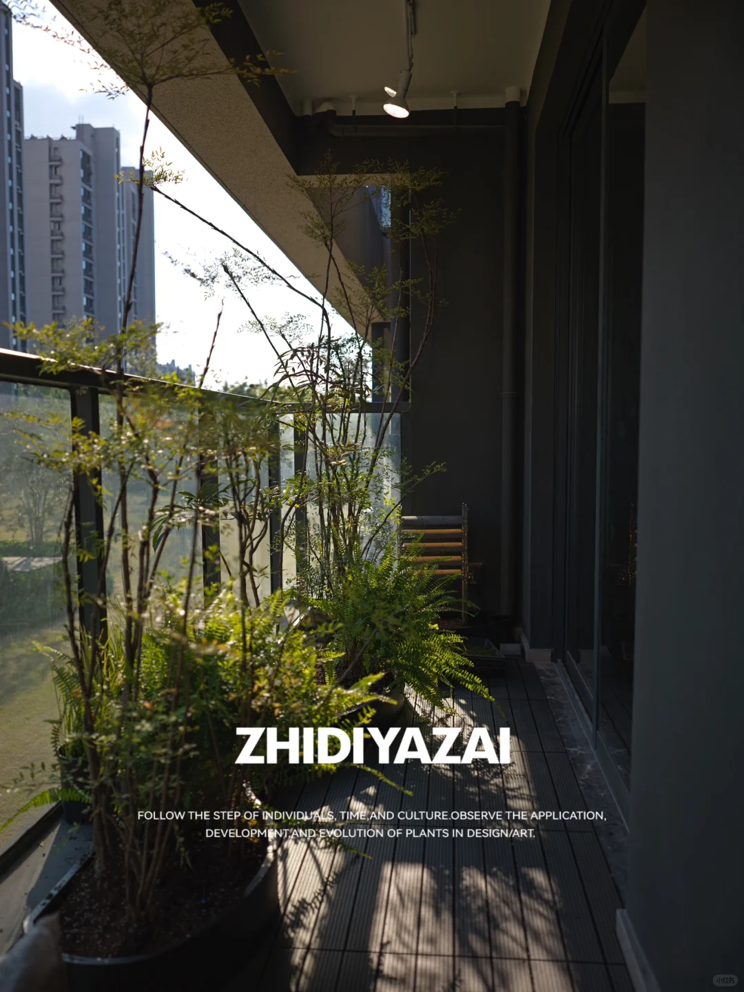 【植地雅栽】半开放阳台植物景观设计实景落地