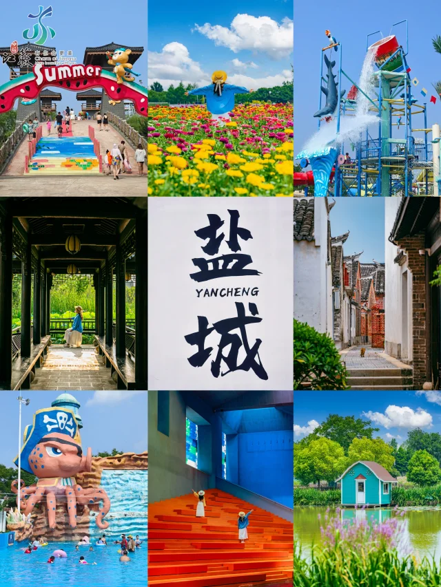 夏日盐城一日游❗建议直接复制这条路线❗