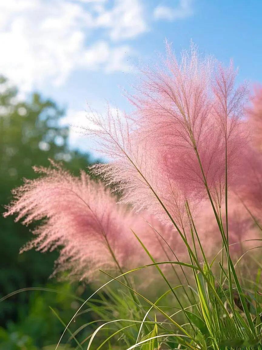 人应该是从喜欢里得到快乐和力量，而不是花光了所有的力量和快乐去喜欢。人生似乎一直