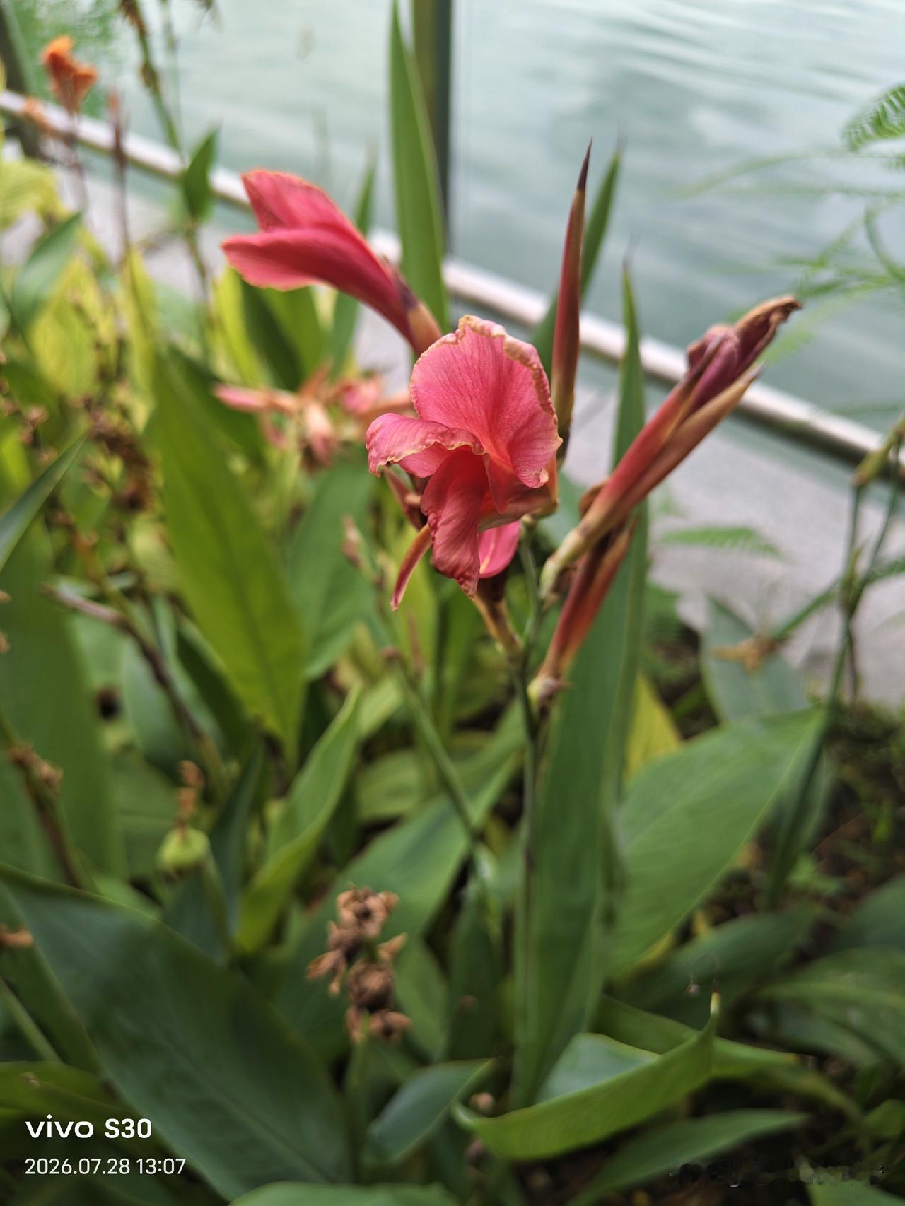 夏日生活打卡季