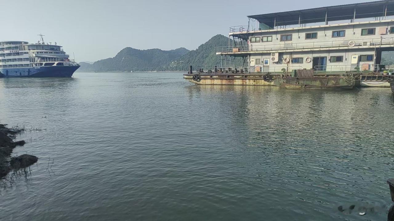 认清现实好好深耕：成年人的世界，实力才是硬底牌
 
       步入社会久了才