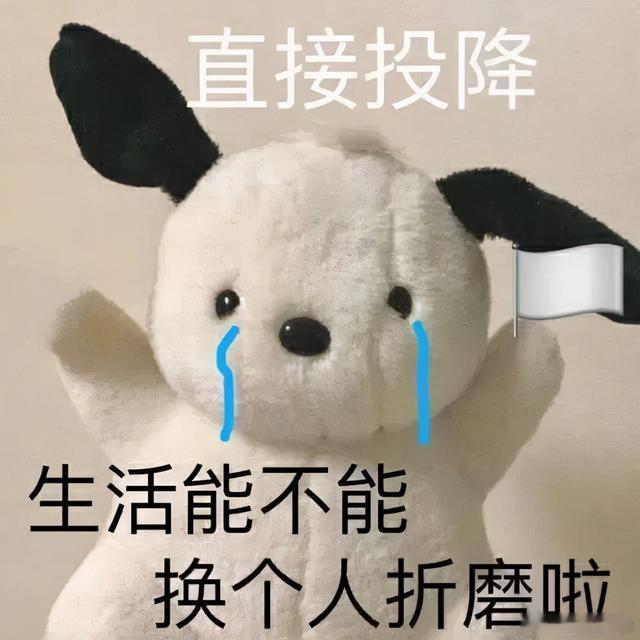 一万块钱让你元旦加班一万块我愿意加班一个月，不只是元旦，现在这市场环境一万块真的