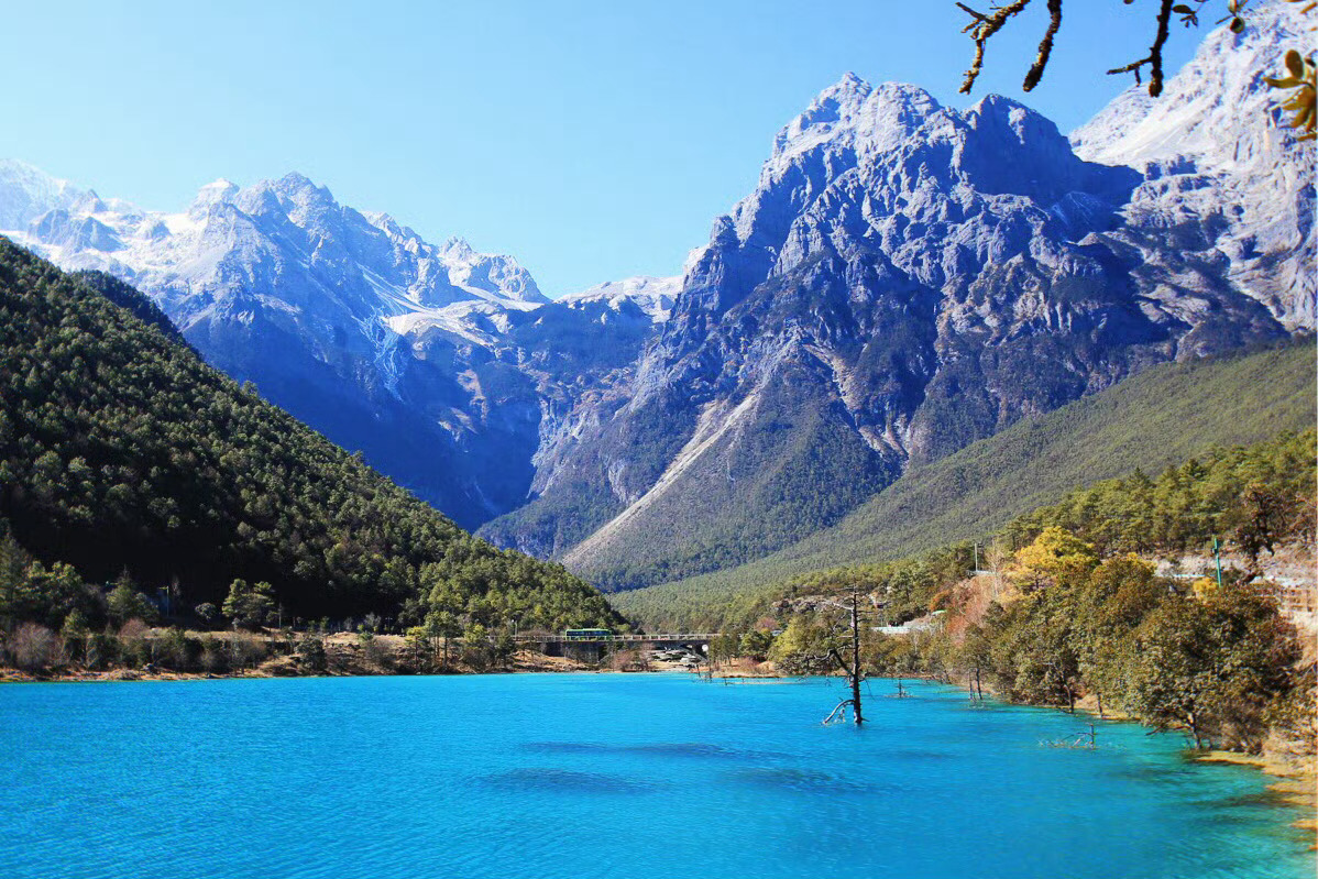 蓝月谷是一个低调的存在，却能令人在流水松桃中尽享心灵的宁静。○ 坐标：云南玉龙雪