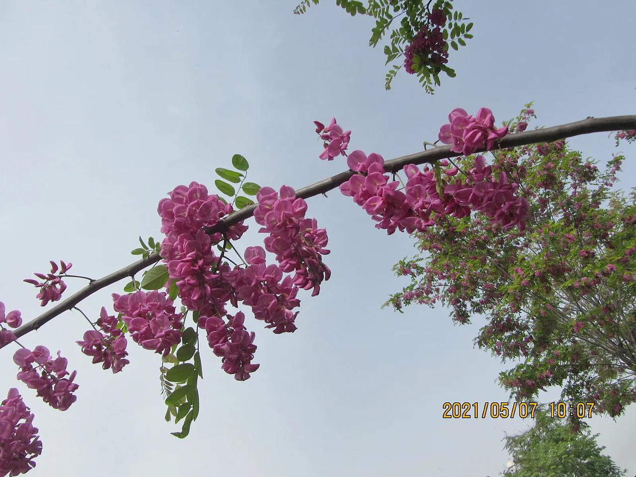 生活中，最珍贵莫过于生命和时间。
动物、植物，我们人类本身。朝朝暮暮，月月年年，