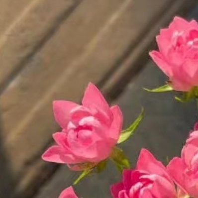 0000风把烦恼吹成棉花糖，阳光在衣角撒满糖霜，今天的快乐是自带甜意的呀！ 