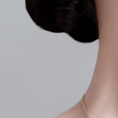 每日一善种植仙人掌的种植方法一、选取健康的茎块：选择老嫩适中的茎块，太老或太嫩的