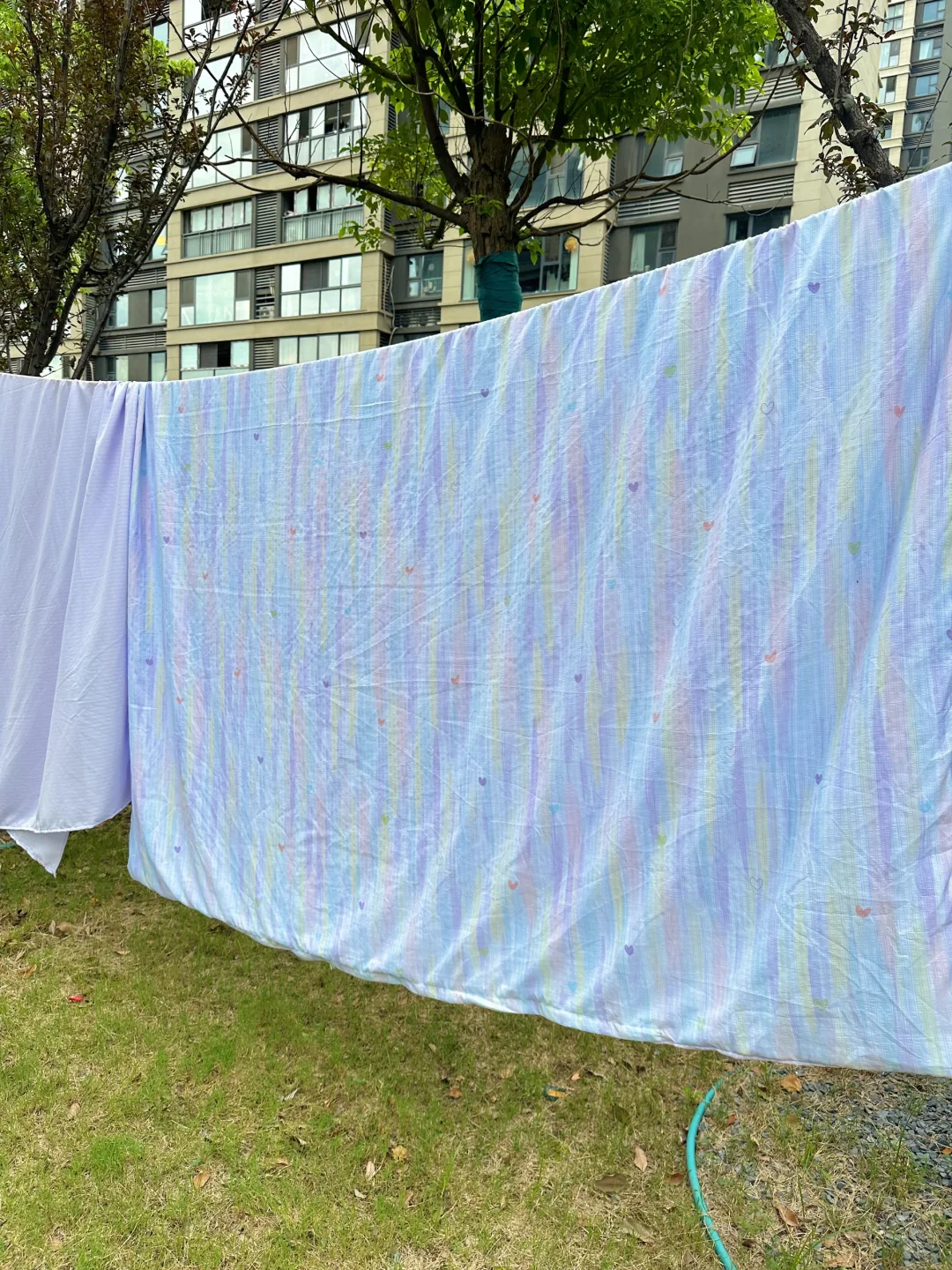 代洗的意思：我们帮洗好发货，收到货直接用～