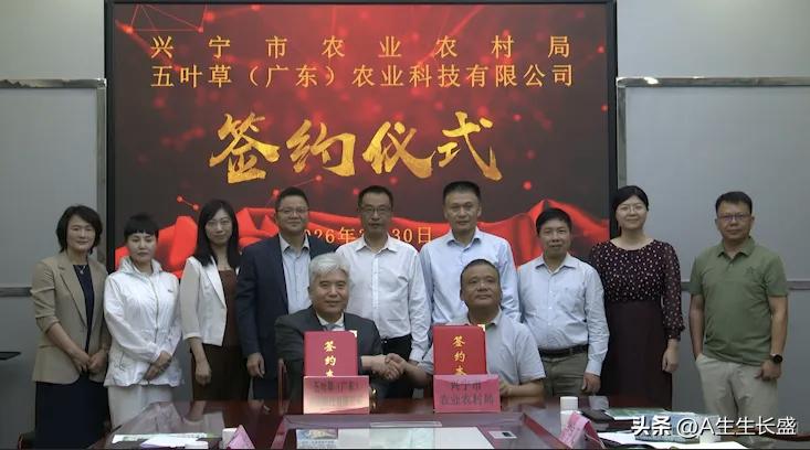 年轻人都外出打工，田地多的老年人干起来太吃力耕作不动了，田地少的又因种植作物价值