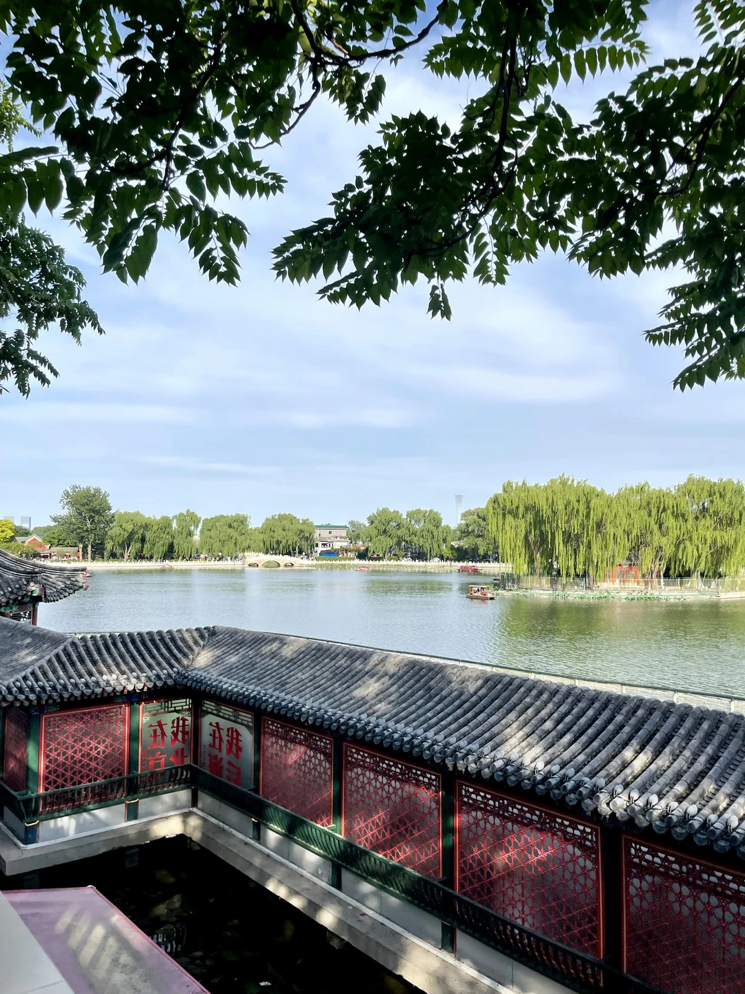 毛泽东在《毛选》里写下“落后就要挨打”这句话时，面对的是一个真实的、残...