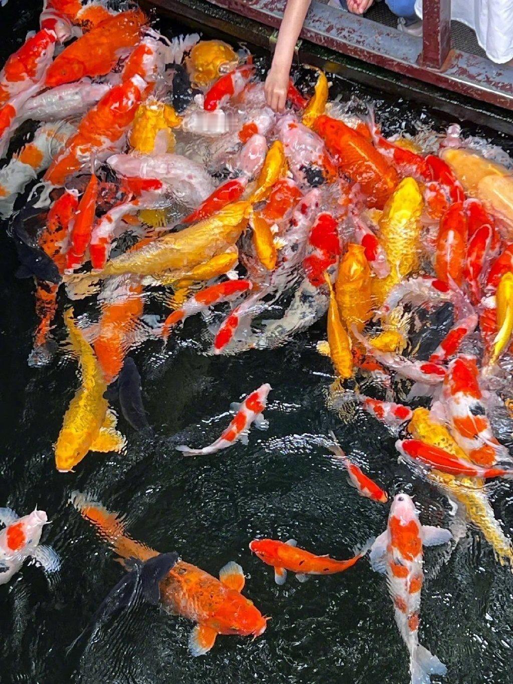 见者转赞，必交好运​​​​。 ​​​