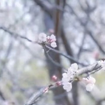阳光信用 互动打卡 每一分收获，都来自你坚持不懈的努力；每一分汗水，都是你成功的