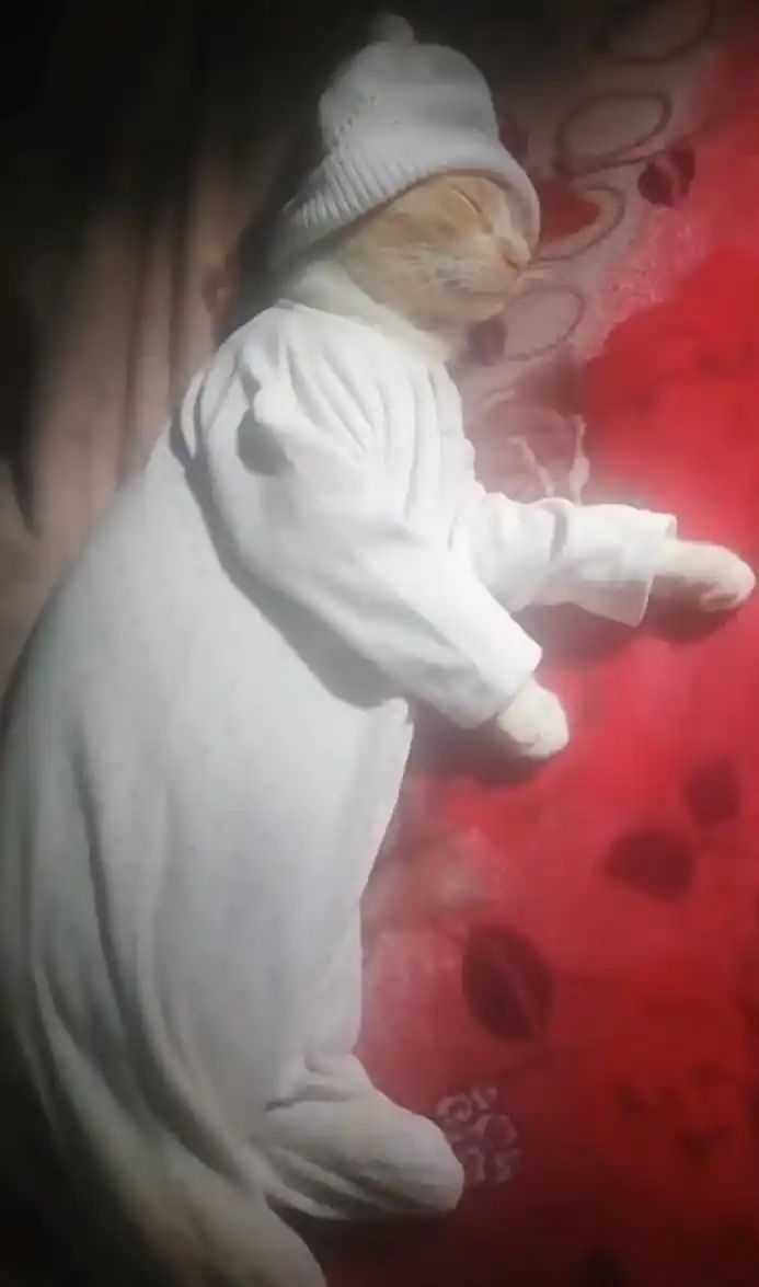 ZZZzzzz ​​​
