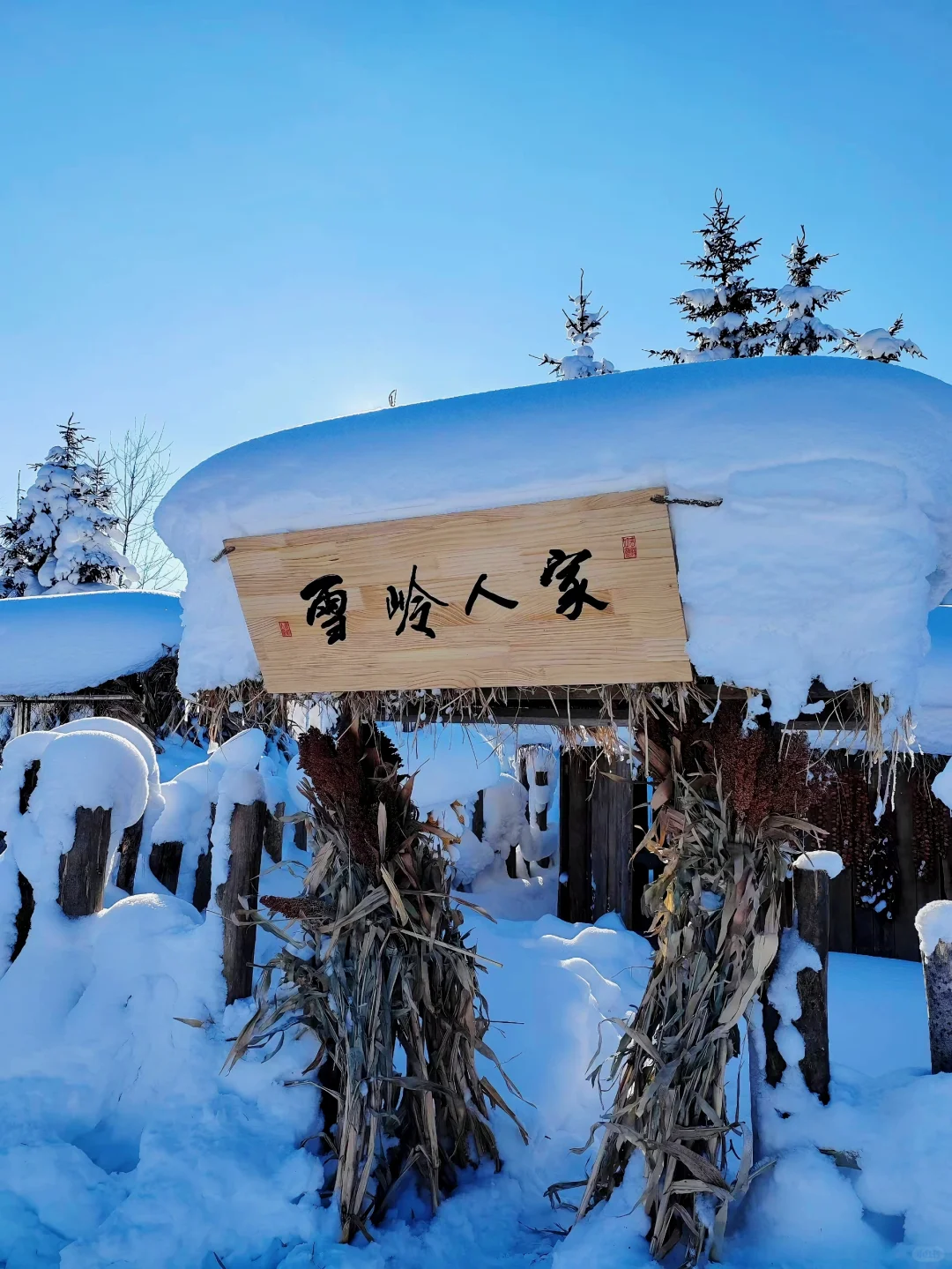 雪飞岭实况，走进冰雪世界+攻略路线