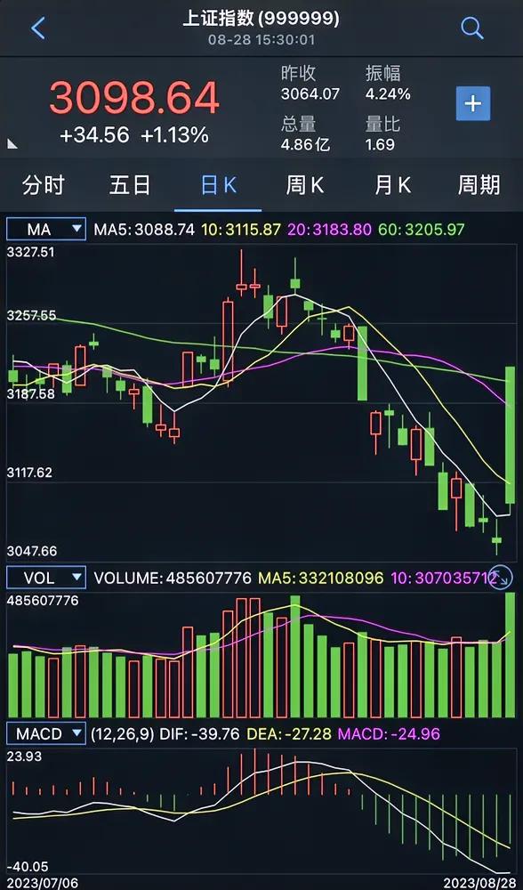 这个大绿棒太刺眼了。上午追高买的朋友估计被套了吧！[捂脸]

昨天官方出台了10