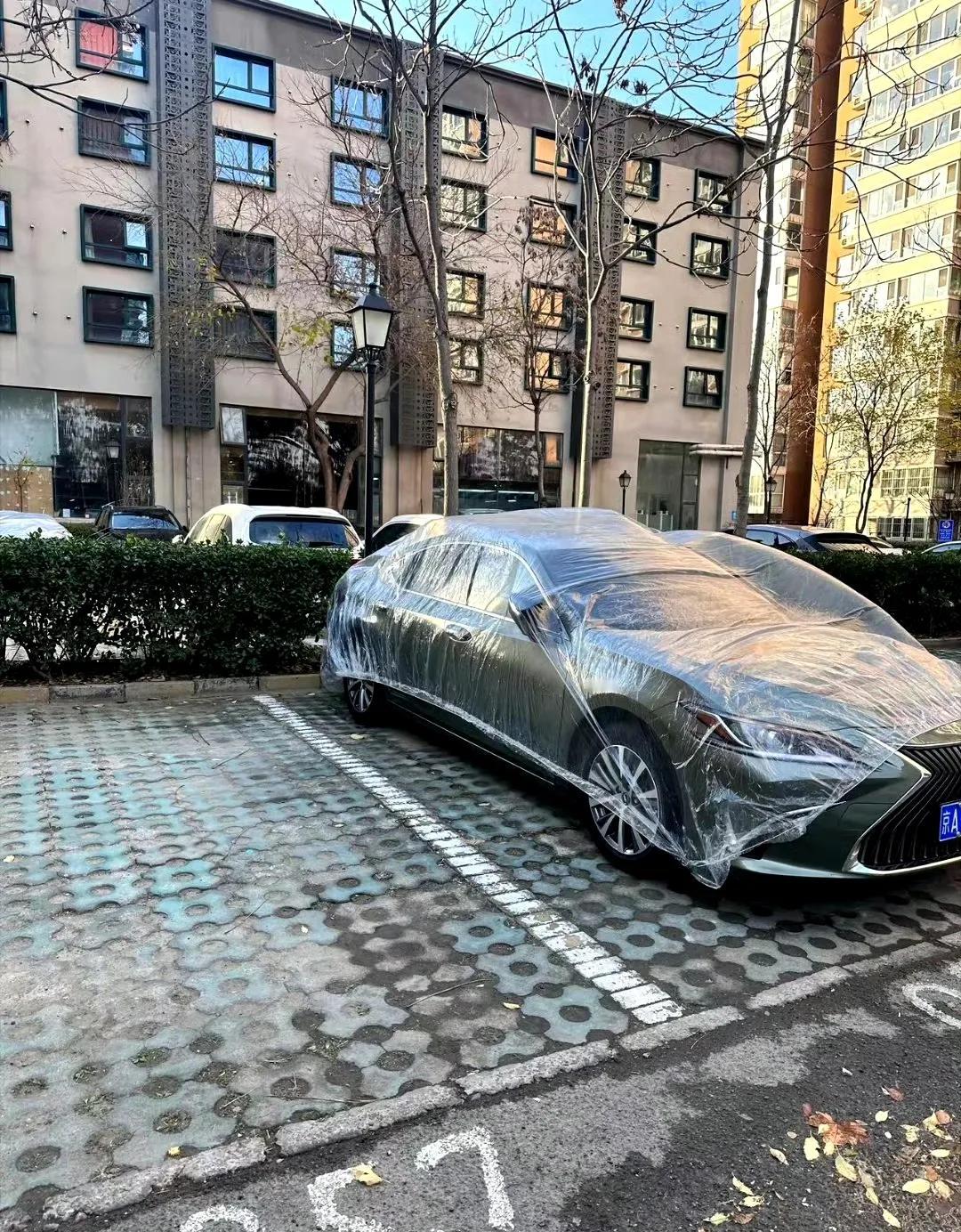 网友：你说车主讲究吧，确实有一点。你说车主爱车吧，感觉又差一点。。。[捂脸]