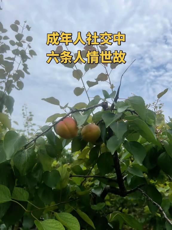 去看生病的亲戚直接给钱，接待穷亲戚去外面高档餐厅吃，接待富亲戚亲自下厨。这几句话