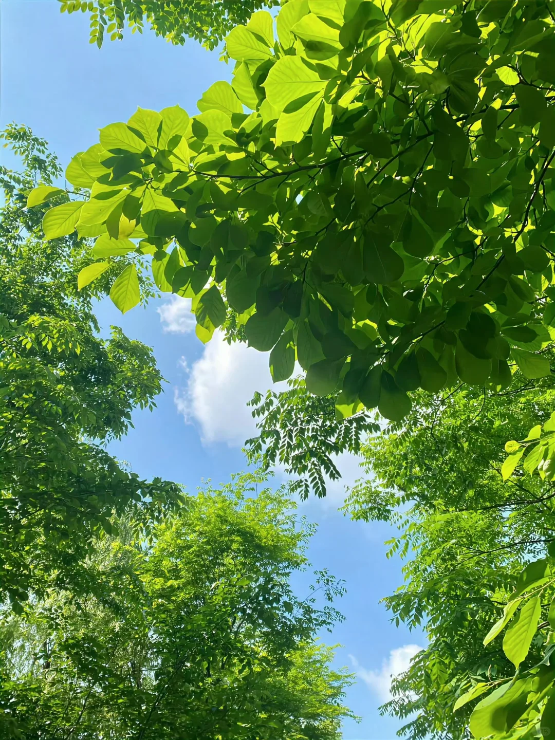 眼里有光 能量并行 状态好转，有好的运势体