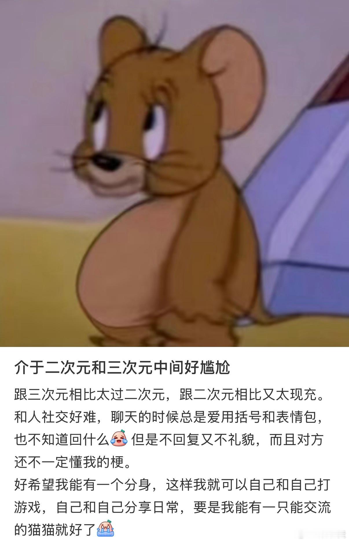 二次元里的现充 现充里的二次元 