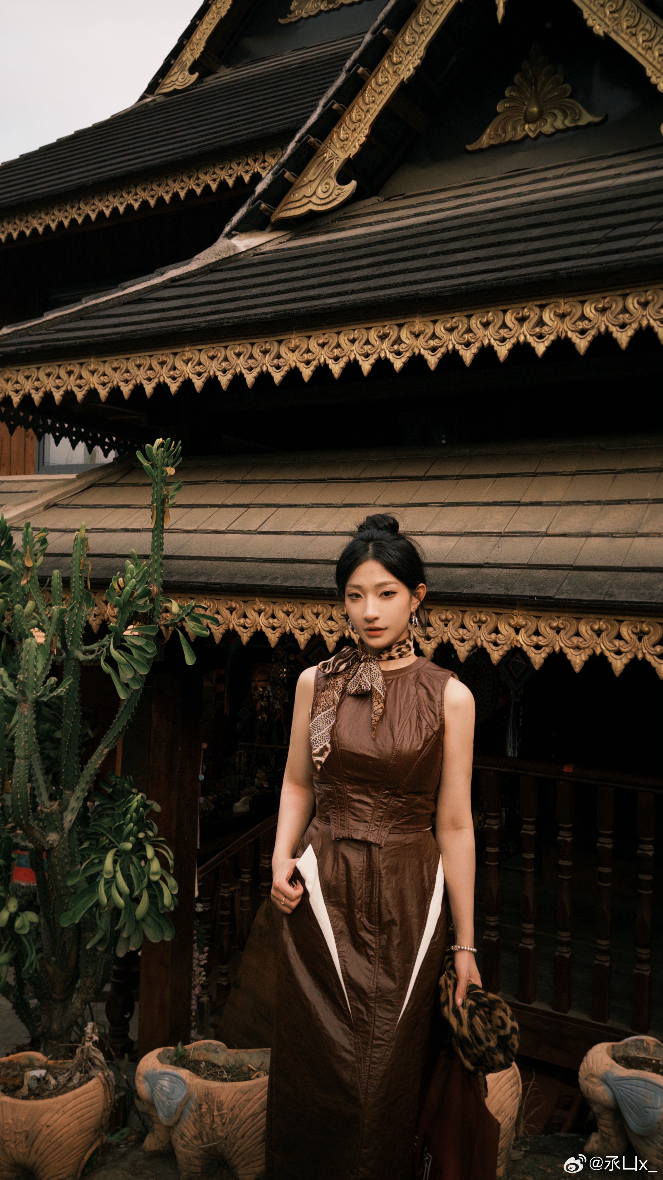 分享图片 西双版纳